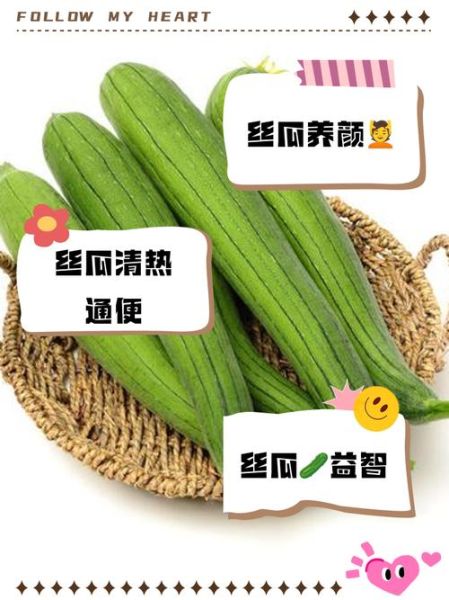 孕妇可以吃丝瓜吗_丝瓜对胎儿好吗-第3张图片-星辰妙记
