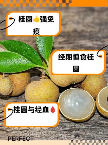 孕妇可以吃桂圆肉吗_孕期吃桂圆的注意事项-第2张图片-星辰妙记