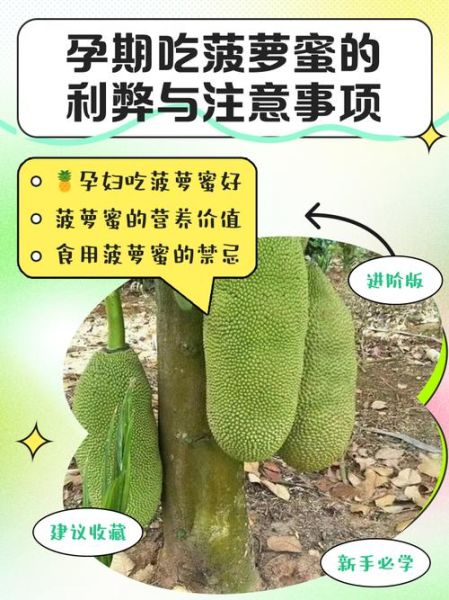 孕妇能吃菠萝蜜吗_孕妇吃菠萝蜜的注意事项-第1张图片-星辰妙记