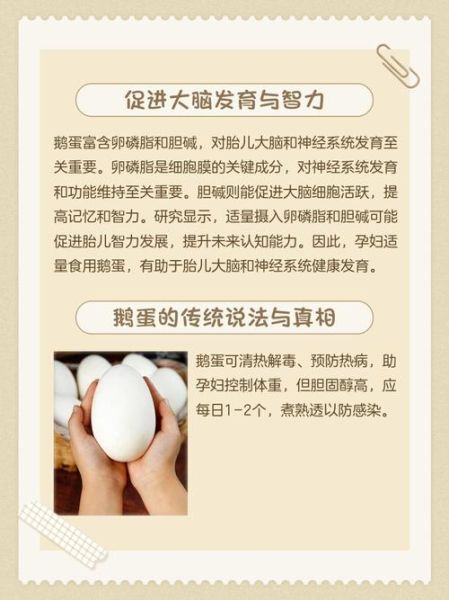 孕妇吃鹅蛋有什么好处_孕妇吃鹅蛋的最佳时间-第2张图片-星辰妙记
