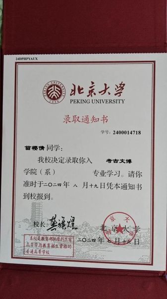 0分作文被北大录取_是真的吗-第3张图片-星辰妙记