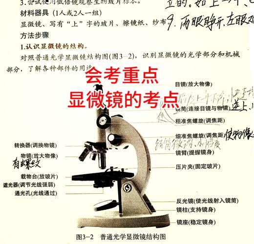 目镜镜头越长放大倍数越大吗_长目镜对观测有何影响-第1张图片-星辰妙记