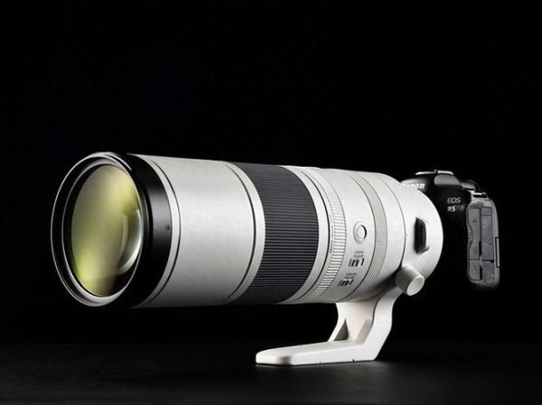 佳能800mm镜头值得买吗_实拍体验如何-第1张图片-星辰妙记