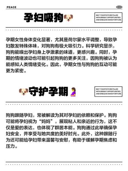 孕妇梦到狗是什么意思_孕妇梦见狗是生男生女-第1张图片-星辰妙记