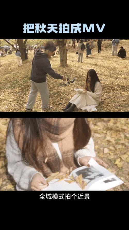 什么是气氛镜头_气氛镜头怎么拍-第2张图片-星辰妙记