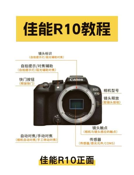 单反镜头怎么选_反转镜头有什么用-第2张图片-星辰妙记