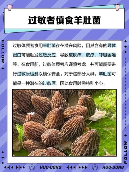 孕妇不能吃哪些菌类_孕期食用菌禁忌-第3张图片-星辰妙记