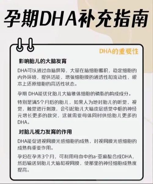 孕妇dha什么时候开始吃_孕期dha最佳补充时间-第3张图片-星辰妙记 孕妇dha什么时候开始吃_孕期dha最佳补充时间-第3张图片-星辰妙记