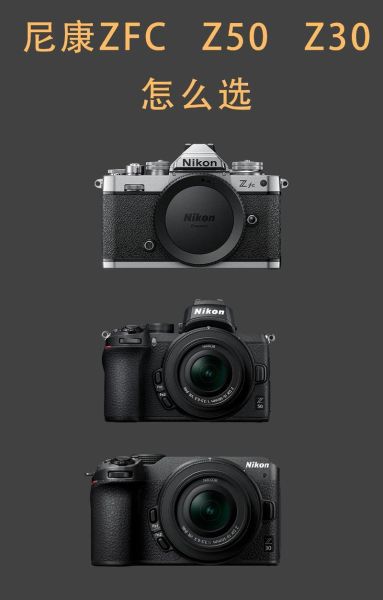 二手尼康镜头怎么选_二手尼康镜头值得买吗-第2张图片-星辰妙记