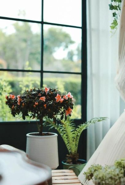 50mm_1.8镜头适合拍什么_怎么拍才好看-第3张图片-星辰妙记