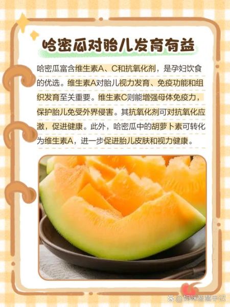哈密瓜孕妇可以吃吗_孕妇吃哈密瓜的注意事项-第1张图片-星辰妙记