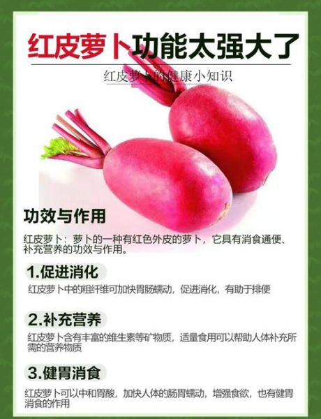 孕妇能吃红皮水萝卜吗_红皮水萝卜孕期禁忌-第1张图片-星辰妙记