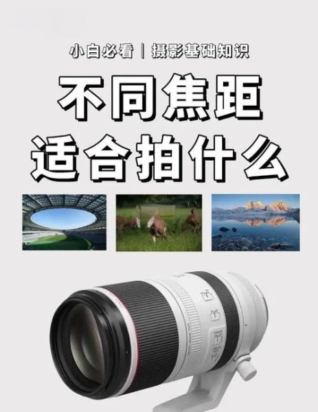 镜头加镜头怎么拍_镜头加镜头拍摄技巧-第1张图片-星辰妙记