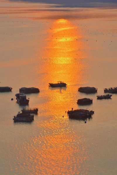 7100镜头适合拍什么_7100镜头画质如何-第1张图片-星辰妙记