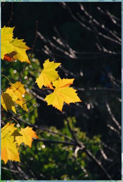 553镜头适合拍什么_553镜头画质怎么样-第1张图片-星辰妙记 553镜头适合拍什么_553镜头画质怎么样-第1张图片-星辰妙记