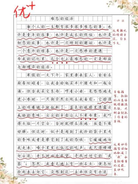 难忘的一面作文怎么写_难忘的一面作文开头-第3张图片-星辰妙记