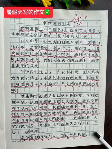 假期作文怎么写_如何写假期作文-第3张图片-星辰妙记
