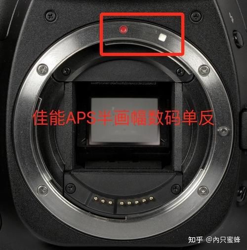 单反镜头怎么拆_镜头卡口锁在哪-第3张图片-星辰妙记