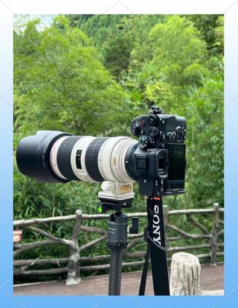 长焦镜头是什么意思_长焦镜头适合拍什么-第3张图片-星辰妙记 长焦镜头是什么意思_长焦镜头适合拍什么-第3张图片-星辰妙记