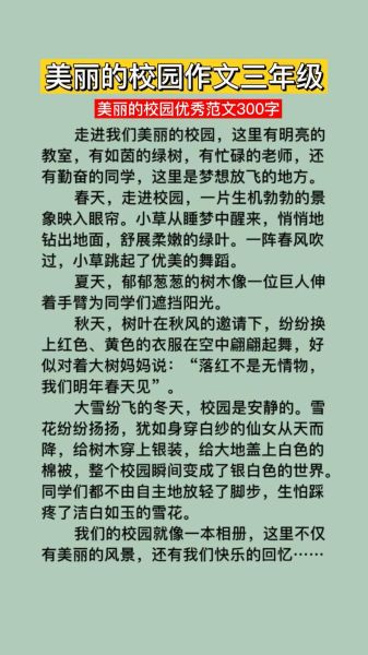 三年级300字优秀作文怎么写_如何快速写出300字好作文-第2张图片-星辰妙记