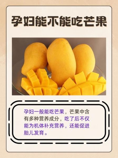 孕妇可以吃芒果吗_孕妇吃芒果的注意事项-第1张图片-星辰妙记 孕妇可以吃芒果吗_孕妇吃芒果的注意事项-第1张图片-星辰妙记