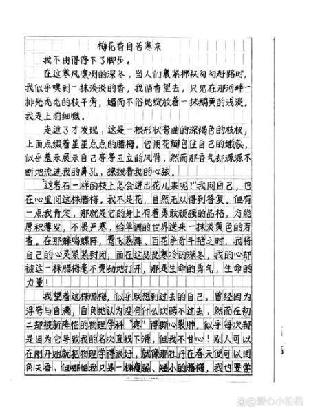 梅花象征什么品格_托物言志作文怎么写-第2张图片-星辰妙记 梅花象征什么品格_托物言志作文怎么写-第2张图片-星辰妙记