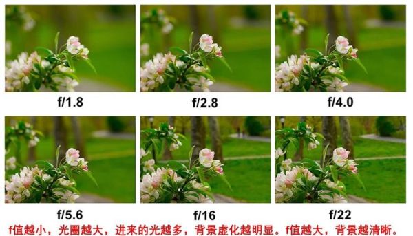 单反镜头光圈是什么_如何根据光线选镜头-第1张图片-星辰妙记 单反镜头光圈是什么_如何根据光线选镜头-第1张图片-星辰妙记