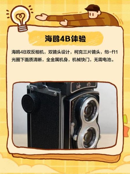 海鸥4b镜头值得买吗_海鸥4b镜头使用技巧-第2张图片-星辰妙记 海鸥4b镜头值得买吗_海鸥4b镜头使用技巧-第2张图片-星辰妙记