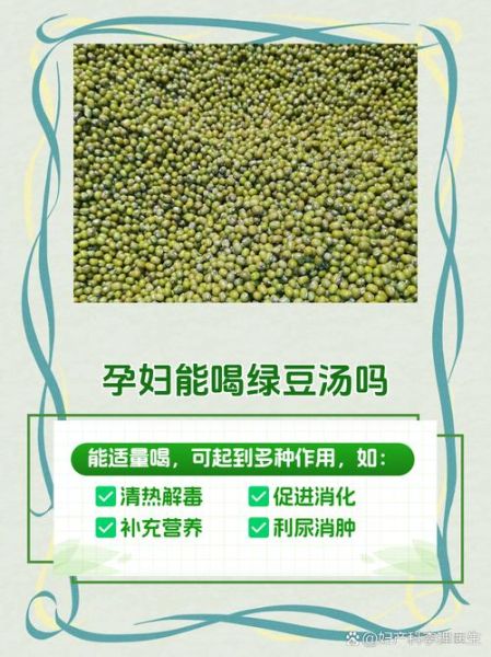 孕妇能吃绿豆吗_孕期绿豆汤怎么煮不上火-第2张图片-星辰妙记