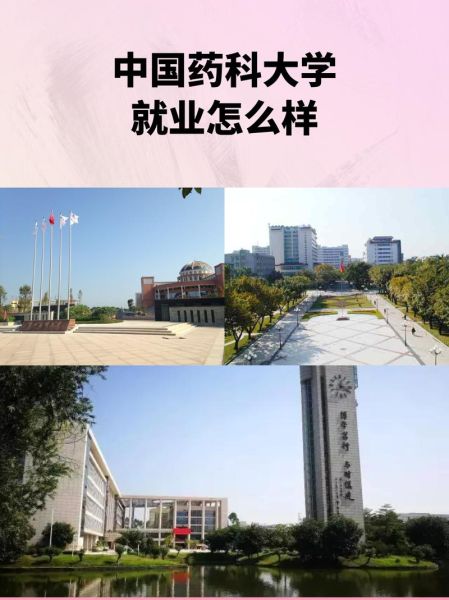 中国药科大学药学院怎么样_就业前景如何-第2张图片-星辰妙记
