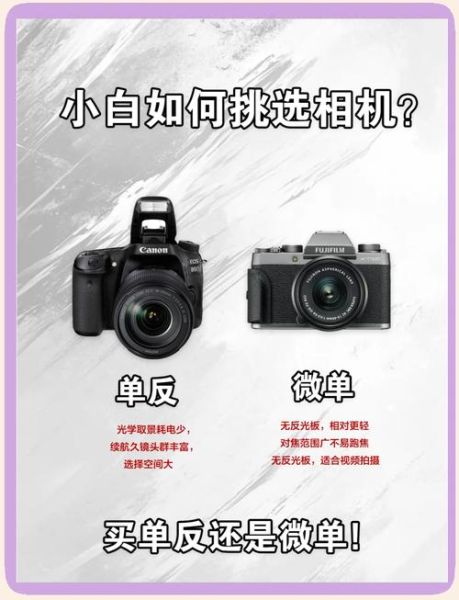 手机双镜头怎么拍_双镜头和单镜头区别-第1张图片-星辰妙记 手机双镜头怎么拍_双镜头和单镜头区别-第1张图片-星辰妙记