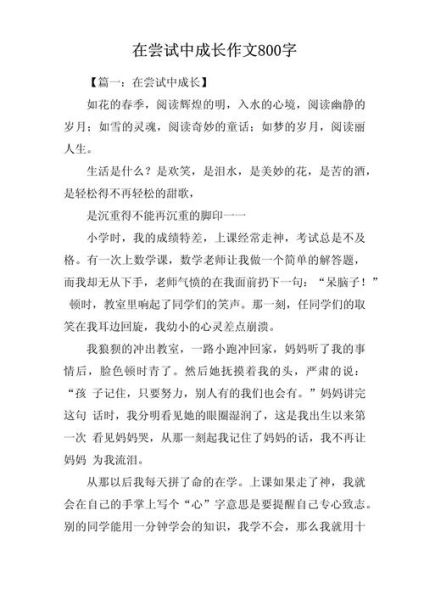如何在尝试中成长_成长作文怎么写-第3张图片-星辰妙记