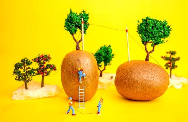 如何拍摄创意镜头_创意镜头拍摄技巧-第1张图片-星辰妙记