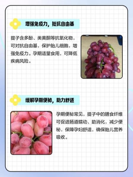 孕妇可以吃提子吗_怀孕吃提子对胎儿好吗-第1张图片-星辰妙记 孕妇可以吃提子吗_怀孕吃提子对胎儿好吗-第1张图片-星辰妙记