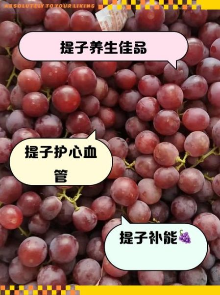 孕妇可以吃提子吗_怀孕吃提子对胎儿好吗-第3张图片-星辰妙记 孕妇可以吃提子吗_怀孕吃提子对胎儿好吗-第3张图片-星辰妙记