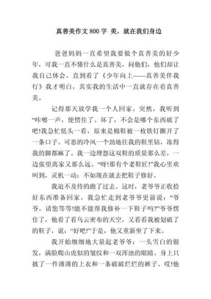 真善美作文开头怎么写_真善美作文开头示例-第2张图片-星辰妙记