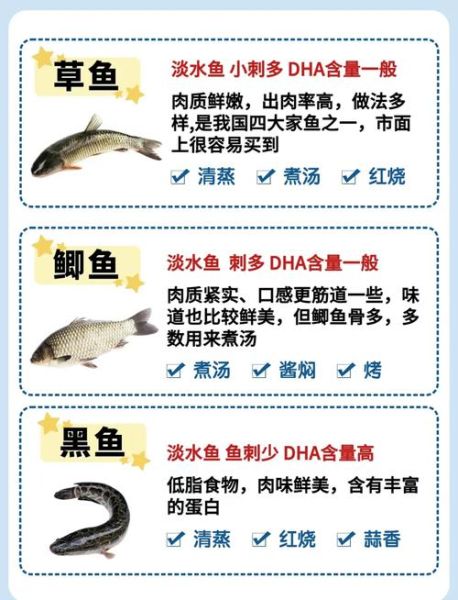 孕妇能吃哪些鱼_孕期吃鱼的注意事项-第1张图片-星辰妙记