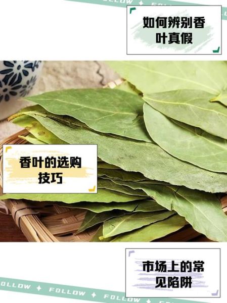 孕妇可以吃香叶吗_香叶对孕妇安全吗-第2张图片-星辰妙记