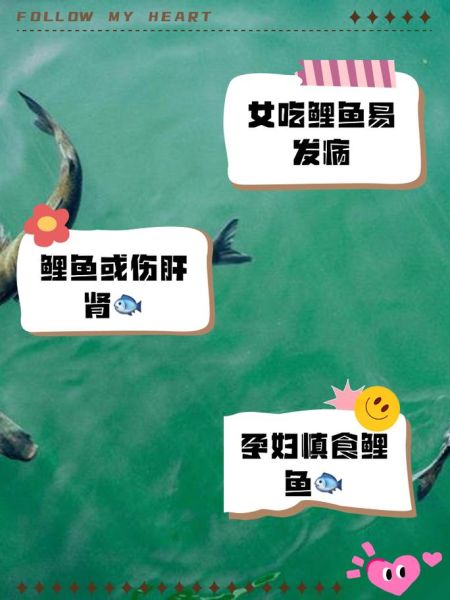 孕妇为什么不能吃鲤鱼_孕期吃鲤鱼对胎儿有影响吗-第3张图片-星辰妙记