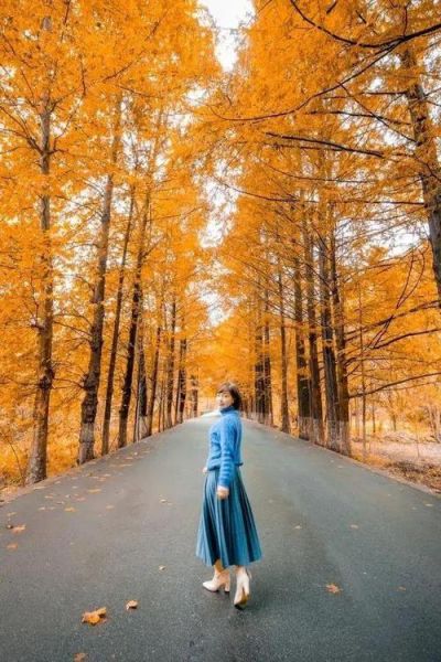 拍人像用什么镜头_拍风景用什么镜头-第3张图片-星辰妙记