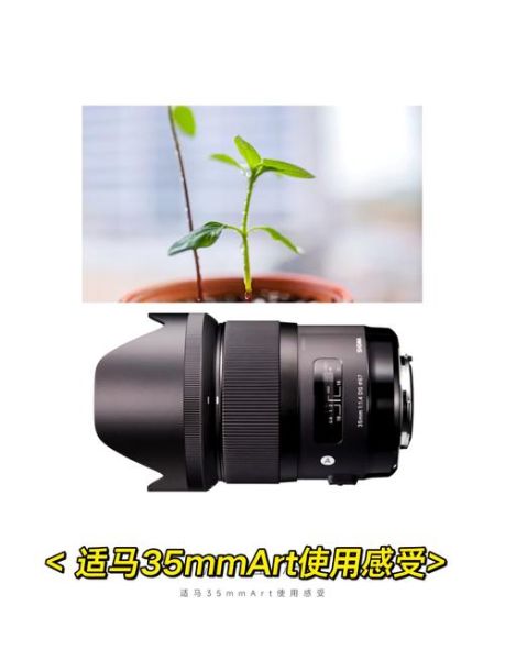 art镜头是什么意思_与普通镜头区别在哪-第3张图片-星辰妙记