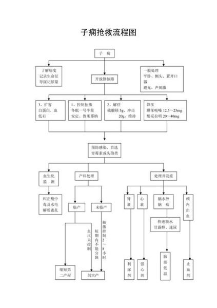 孕妇产后大出血怎么办_产后出血紧急处理步骤-第2张图片-星辰妙记 孕妇产后大出血怎么办_产后出血紧急处理步骤-第2张图片-星辰妙记