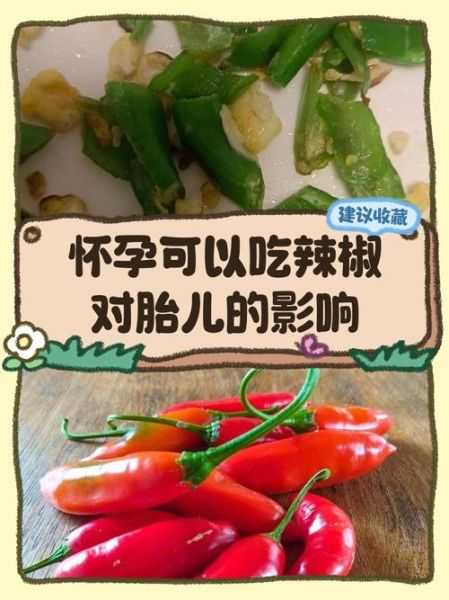 孕妇可以吃辣的吗_怀孕吃辣对胎儿有影响吗-第3张图片-星辰妙记 孕妇可以吃辣的吗_怀孕吃辣对胎儿有影响吗-第3张图片-星辰妙记