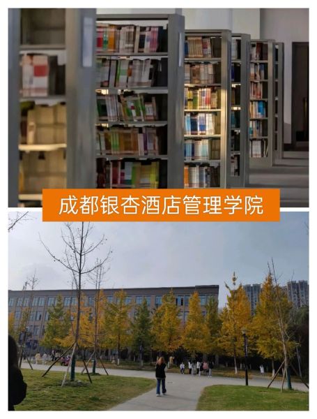 成都信息工程大学银杏酒店管理学院怎么样_就业前景如何-第3张图片-星辰妙记 成都信息工程大学银杏酒店管理学院怎么样_就业前景如何-第3张图片-星辰妙记