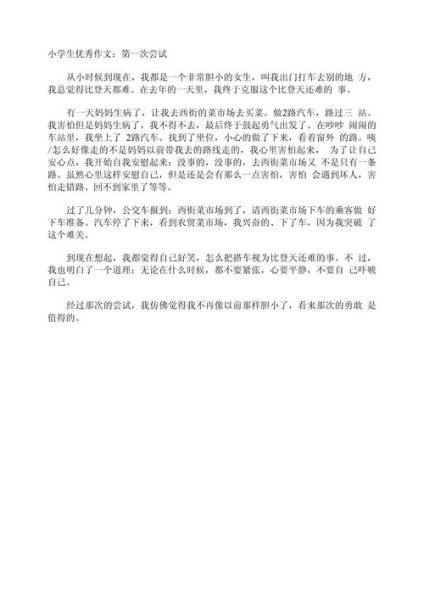 一次有趣的尝试作文怎么写_如何写出高分记叙文-第2张图片-星辰妙记