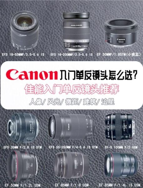 初学者必备单反镜头有哪些_怎么选第一支镜头-第3张图片-星辰妙记 初学者必备单反镜头有哪些_怎么选第一支镜头-第3张图片-星辰妙记