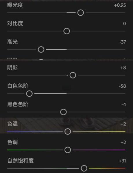 lr镜头矫正怎么操作_lr镜头矫正常见问题-第3张图片-星辰妙记 lr镜头矫正怎么操作_lr镜头矫正常见问题-第3张图片-星辰妙记