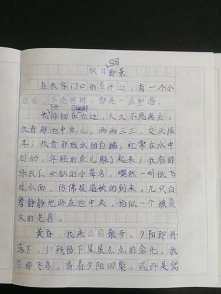 五年级上册第8单元作文怎么写_如何描写场景让人身临其境-第1张图片-星辰妙记