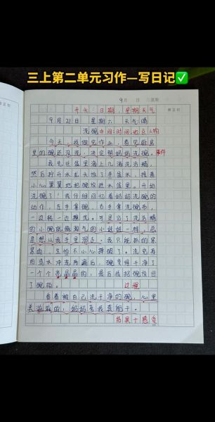 三年级写事作文怎么写_写事作文开头怎么写-第3张图片-星辰妙记 三年级写事作文怎么写_写事作文开头怎么写-第3张图片-星辰妙记