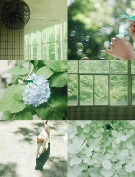 佳能镜头色彩怎么样_佳能镜头色彩偏黄怎么办-第2张图片-星辰妙记 佳能镜头色彩怎么样_佳能镜头色彩偏黄怎么办-第2张图片-星辰妙记